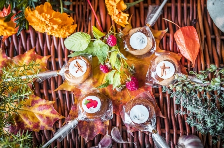 Gardēža ceļš un Krustpils pils!