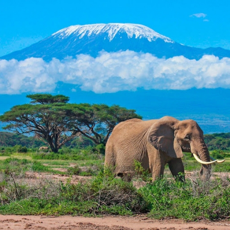 Tanzānija - Zanzibāra ar atpūtu pludmalē un ekskursijām