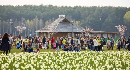 Uz narcišu ziedēšanu Druskininkos!