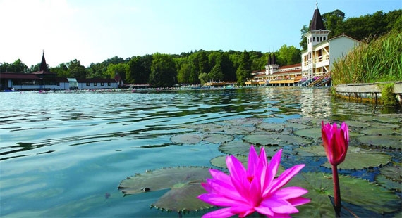Релакс тур на озере Хевиз! Набор группы открыт, количество мест ограничено!